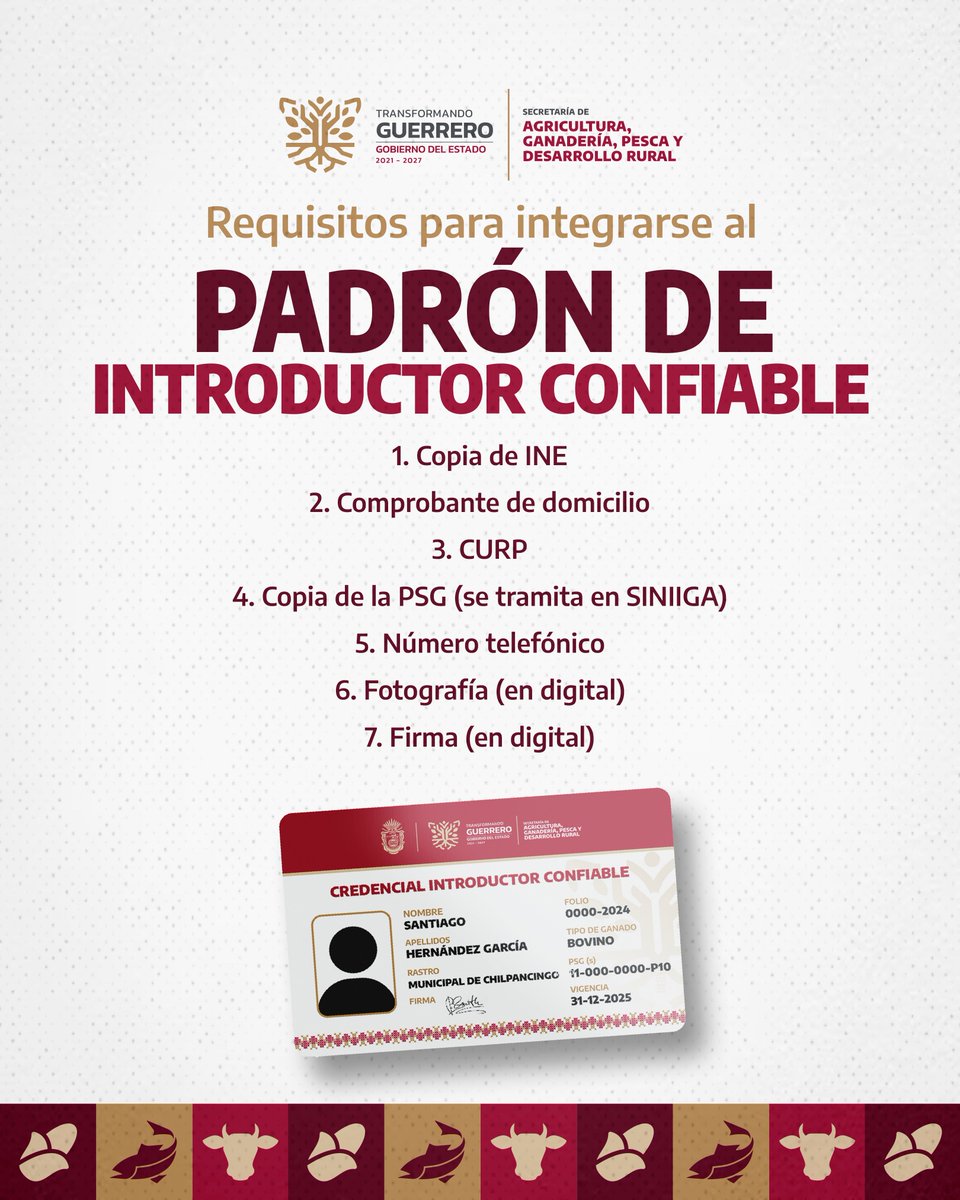 ¡Únete al Padrón de Introductor Confiable en Guerrero! 📷📷
 
Si transportas ganado bovino, esto es para ti:
 📷 Cumple con la normatividad vigente.
 📷 Protege nuestro estado de plagas y enfermedades.
 📷 Ayuda a garantizar un transporte seguro y confiable.
 
 📷 ¿Qué necesitas?