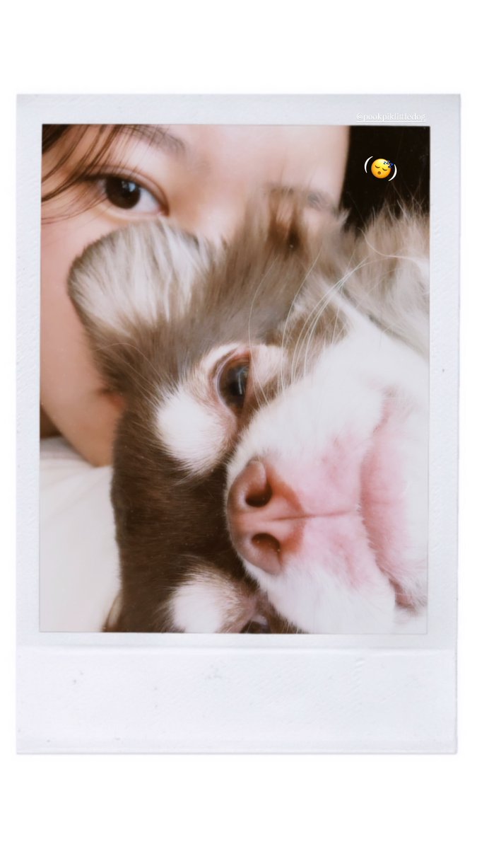 CiizeDaisy's tweet image. [Ciize Update] Story IG 151025

(😴)

IG : ciizezphr

#ciizezphr #CiizeRutricha #MyFanze