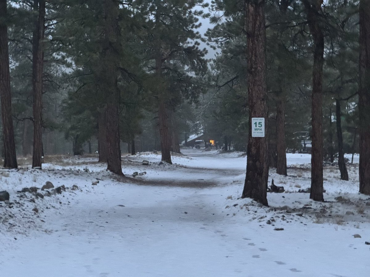 The photos don’t always do it justice… but the neighborhood has been decorated in some early season snow…