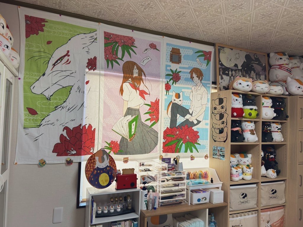 Cattail138's tweet photo. 今のニャンコ先生部屋はこんな感じですꉂ🤭
(半年くらい前に撮影した写真です)
今はさらに増えて溢れてる😂 https://t.co/sApgy5o7t8
