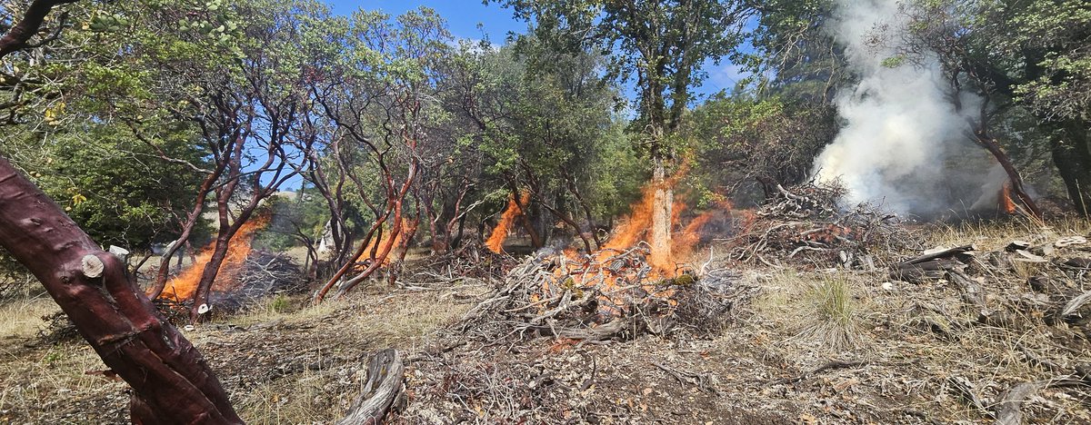 🔥 Prescribed Burn Notification 🔥

 There may be visible smoke in your area periodically throughout the next couple months. 
 
 🌲Why It Matters
🔥Clear fuels and hazardous material
#PrescribedBurn #FireSafety #ForestHealth #community #WildfirePrevention
#Torchbearr