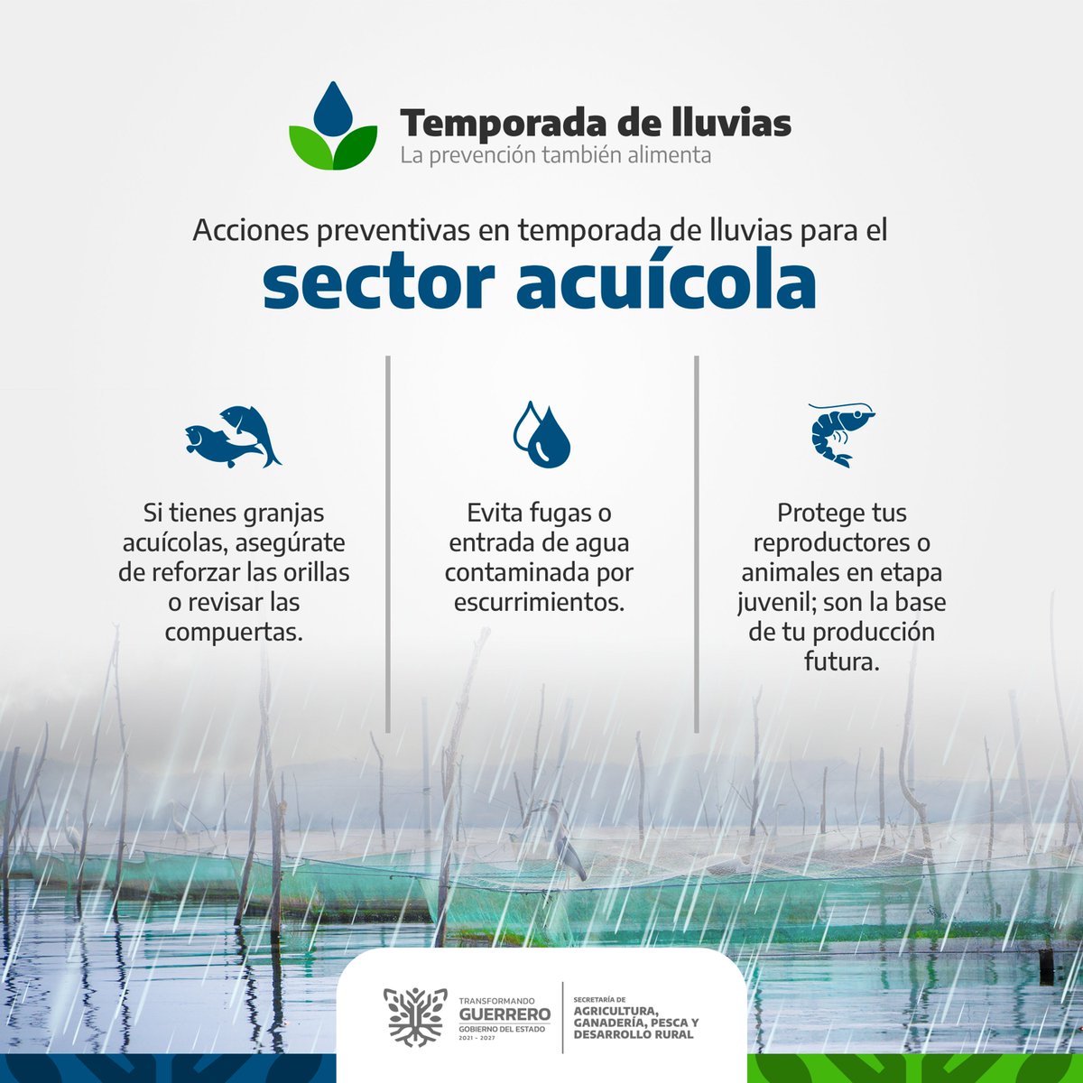 Proteger tus estanques es proteger tu producción. La Secretaría de Agricultura, Ganadería, Pesca y Desarrollo Rural del Estado de Guerrero recomienda acciones preventivas para el sector acuícola durante la temporada de lluvia, como el monitoreo constante de tus cultivos.