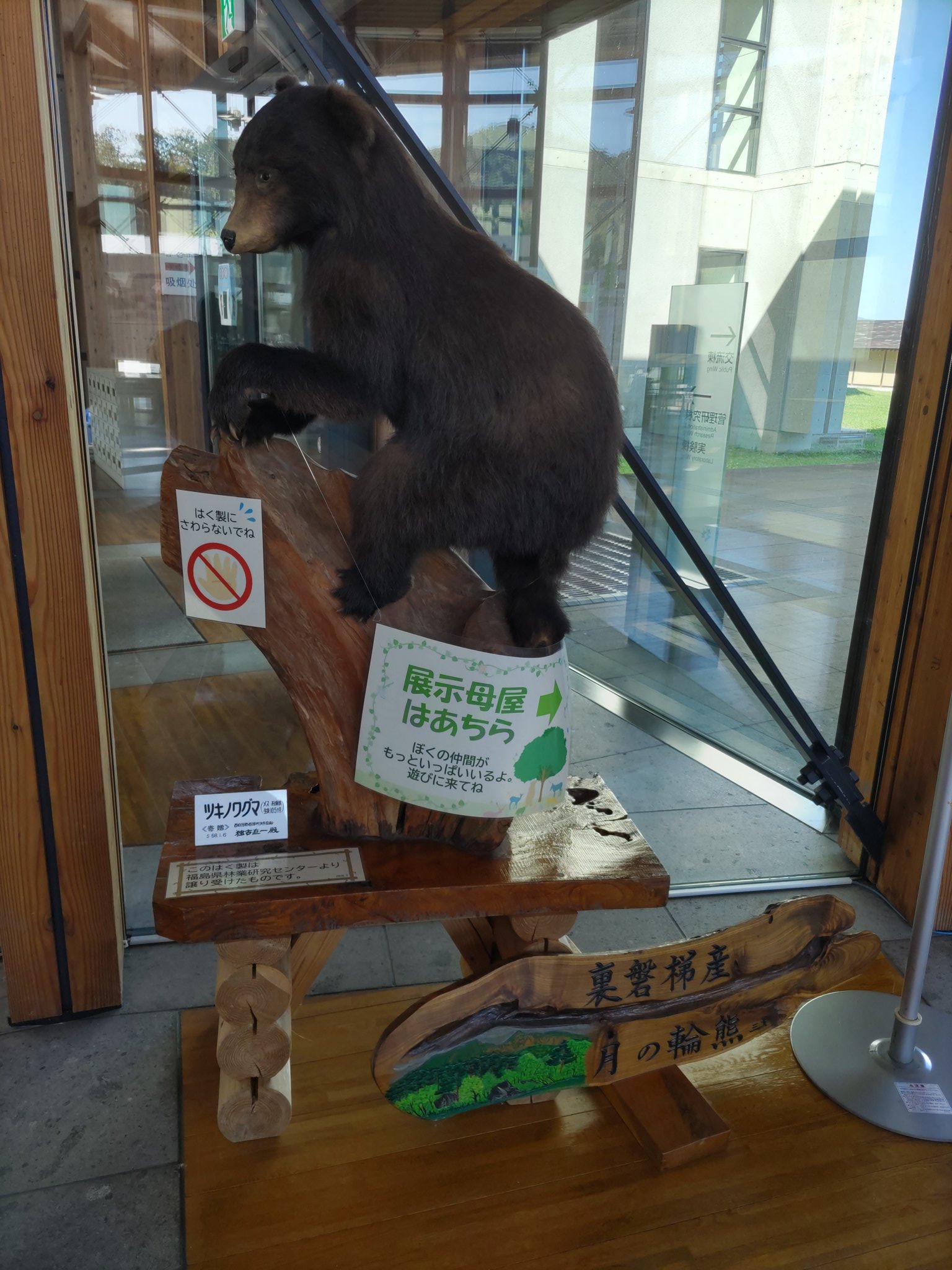 クマの剥製 中山 クマの剥製 中山 2560px-日高山脈山岳センターに
