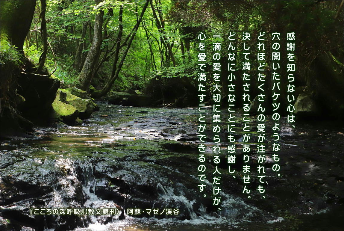 重版決定】毎晩の投稿の中から、特に反響のあったメッセージを選んで
