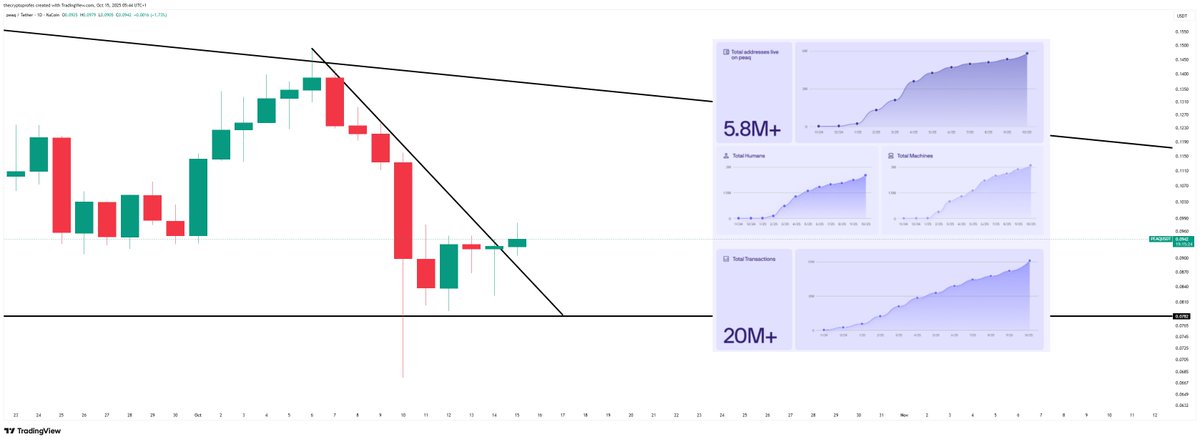 $PEAQ continues to hold structure near key support while on-chain data shows accelerating growth.

Over 5.8M+ addresses, 3M+ humans, and 20M+ transactions are now live on Peaq - proof that adoption in the Machine Economy is quietly scaling every month.

The chart’s consolidating