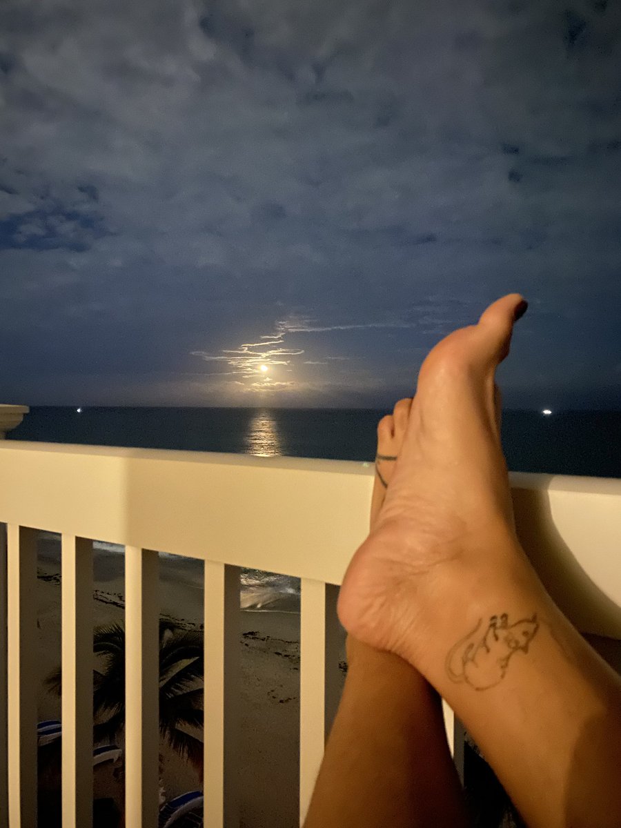 Goddess Nikki Focks tweet media