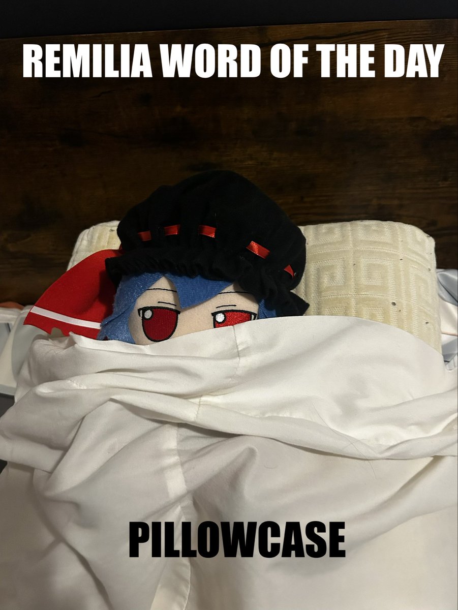 Remilia decided to hide inside of the pillowcase and use the pillow as her own little bed. It’s surprisingly comfy…

#fumo #fumofumo