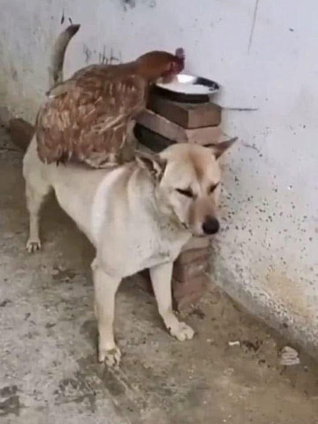 İNSANLAR GÜNAYDIN..😊