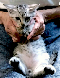 ☆sayoko☆ (@Sayoko0618) / Posts / X