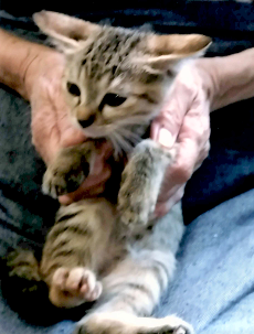 ☆sayoko☆ (@Sayoko0618) / Posts / X