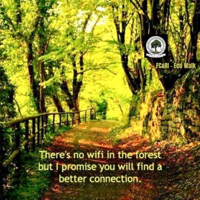 nihar_ifs's tweet photo. FC&amp;RI - Eco Walk

#WalkWithDean 

@IGNFA_GoI 
@TNAU_coimbatore 
@tnforestdept 
@Aiwcrteofficial 
@wii_india 
@WWF 
@WWFINDIA 
@ParveenKaswan https://t.co/JnJF0aEqsQ