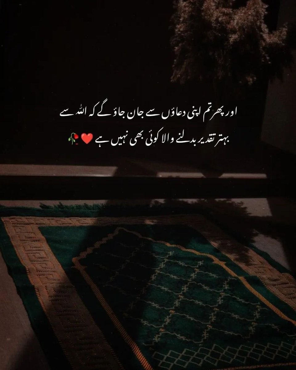 em__mahi's tweet image. Assalam o Alaikum
