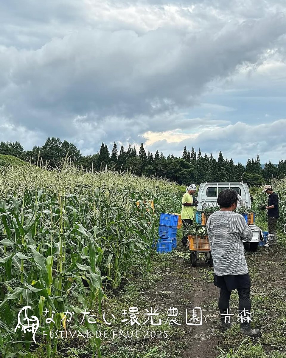 FRUE_JP's tweet image. ⁛𓆱 Food Exhibitor [22] なかだい環光農園 𓆱 
キリストの墓を祀る青森県新郷村にて、生食でも美味しいとうもろこし「郷のきみ」と、旨みの強い在来種のニンニクを育てています。
郷のきみは昨年からミシュランの３つ星を６年連続で獲得した銀座老舗フレンチレストラン「ロオジエ…