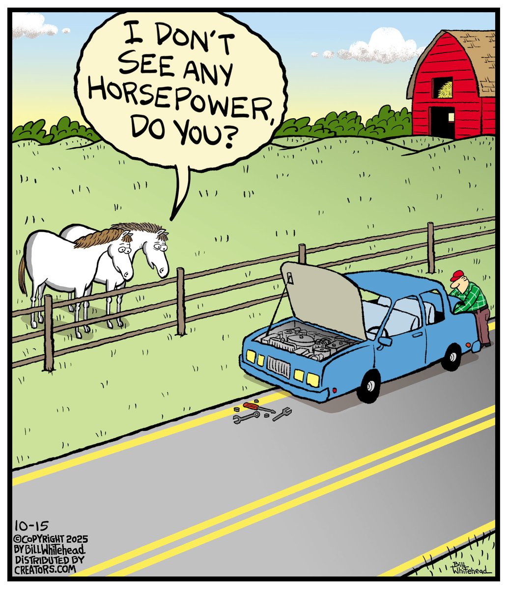 Free Range Comic. (@billwhitehead8) on Twitter photo 