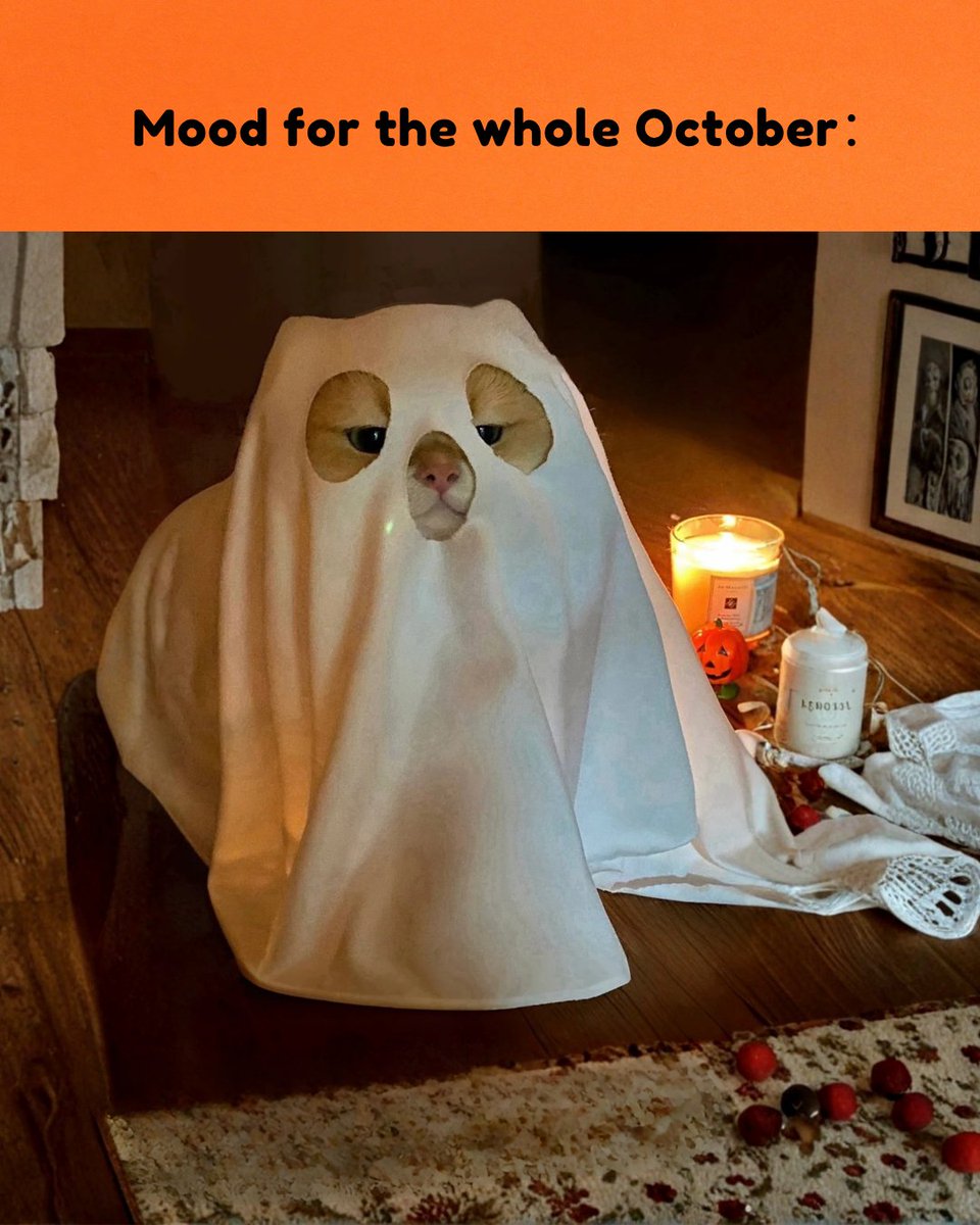 happyandpolly's tweet image. Mood for the whole Oct: cozy naps and pumpkin vibes. hbu?

#happyandpolly #halloween ##HalloweenCats #CatParents #CozyVibes #PawLove