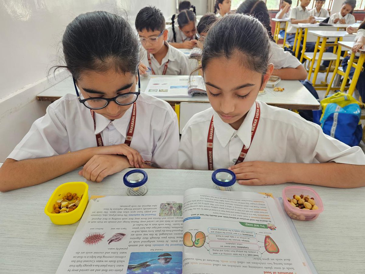 MMVMUdaipur's tweet image. MMVM students explored the fascinating world of seeds through a Seed Identification Activity 🌱 that blended observation, curiosity &amp;amp; hands-on learning—enhancing their scientific understanding in a fun, practical way!

#SeedIdentification #HandsOnLearning #ScienceActivity #MMVM