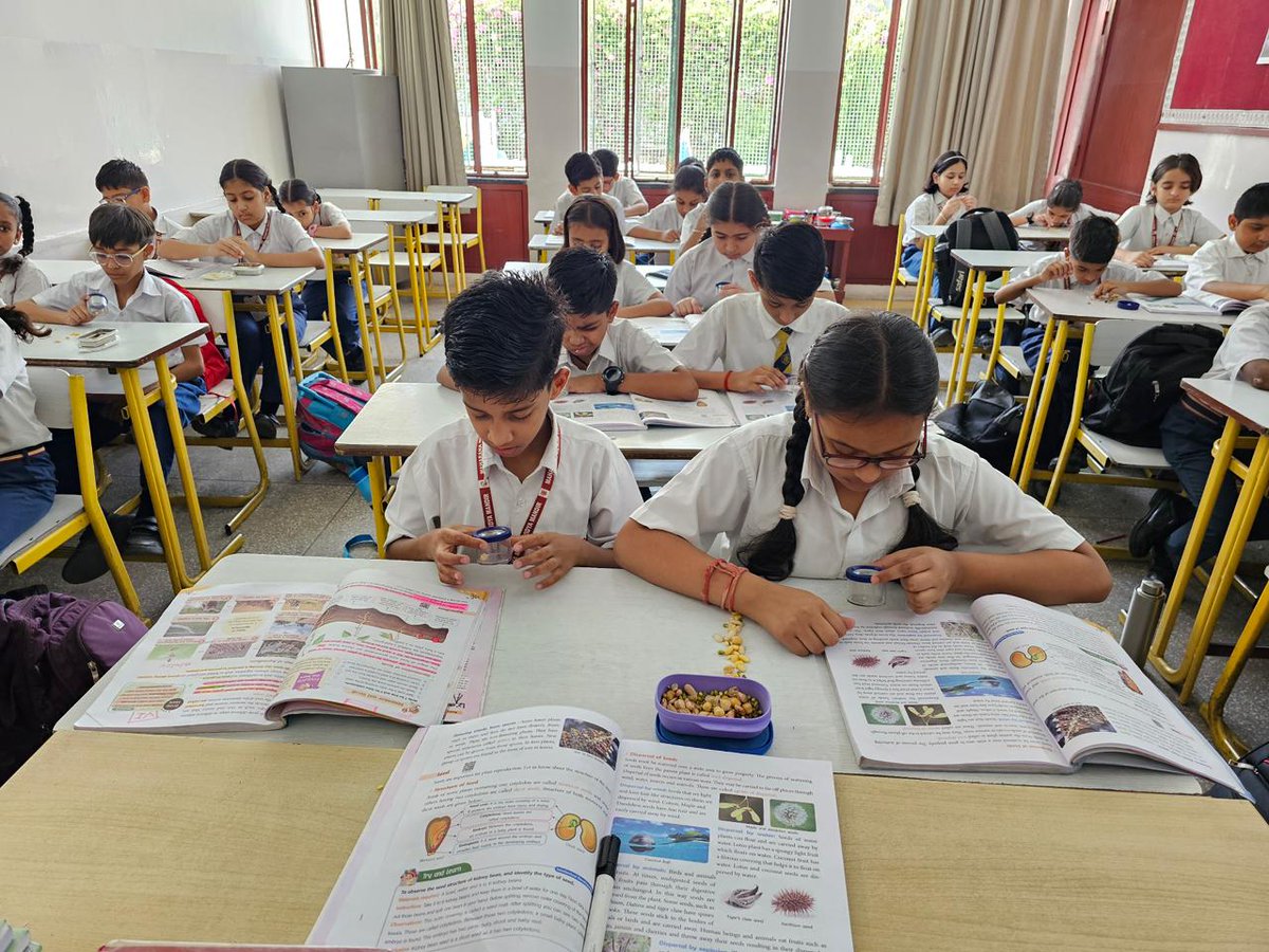 MMVMUdaipur's tweet image. MMVM students explored the fascinating world of seeds through a Seed Identification Activity 🌱 that blended observation, curiosity &amp;amp; hands-on learning—enhancing their scientific understanding in a fun, practical way!

#SeedIdentification #HandsOnLearning #ScienceActivity #MMVM