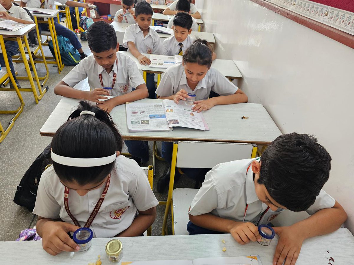 MMVMUdaipur's tweet image. MMVM students explored the fascinating world of seeds through a Seed Identification Activity 🌱 that blended observation, curiosity &amp;amp; hands-on learning—enhancing their scientific understanding in a fun, practical way!

#SeedIdentification #HandsOnLearning #ScienceActivity #MMVM
