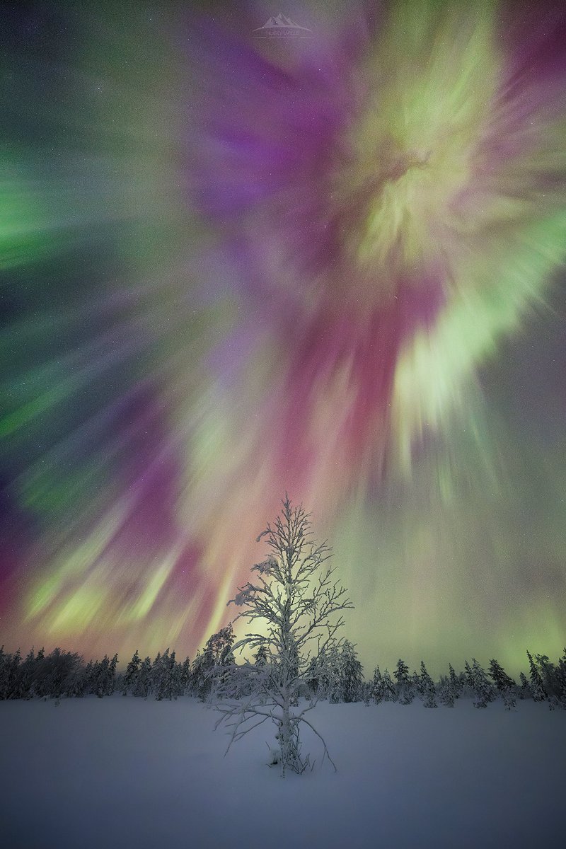 HugoVP55's tweet image. Noches mágicas