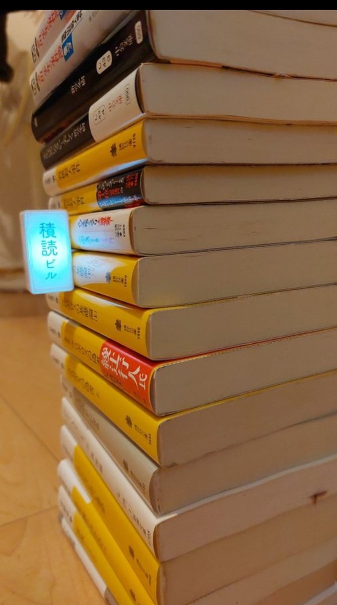 積読を飾りたいならこれでいいんです🤣