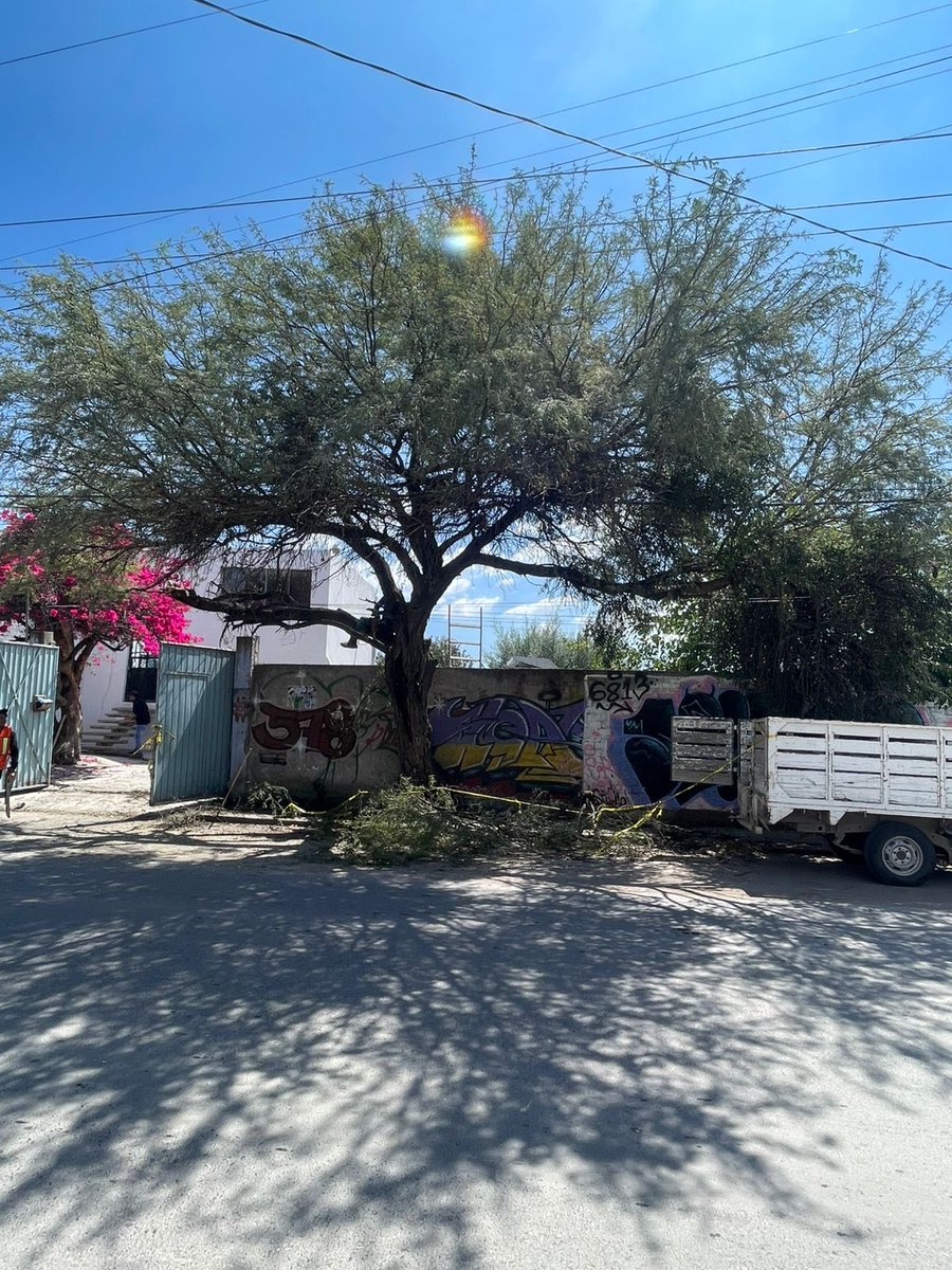 G3R4G4M48's tweet photo. 𝑸𝑼𝑬𝑹𝑬𝑻𝑨𝑹𝑶🪵
Prol. Pino Suárez 509  76177 Santiago de Querétaro, Qro. ECOCIDIO URBANO https://t.co/Hr3D2iOXmn