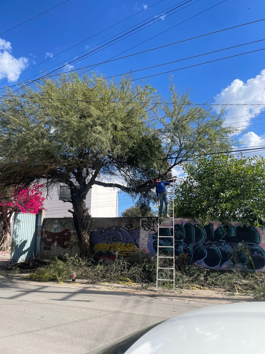 G3R4G4M48's tweet photo. 𝑸𝑼𝑬𝑹𝑬𝑻𝑨𝑹𝑶🪵
Prol. Pino Suárez 509  76177 Santiago de Querétaro, Qro. ECOCIDIO URBANO https://t.co/Hr3D2iOXmn