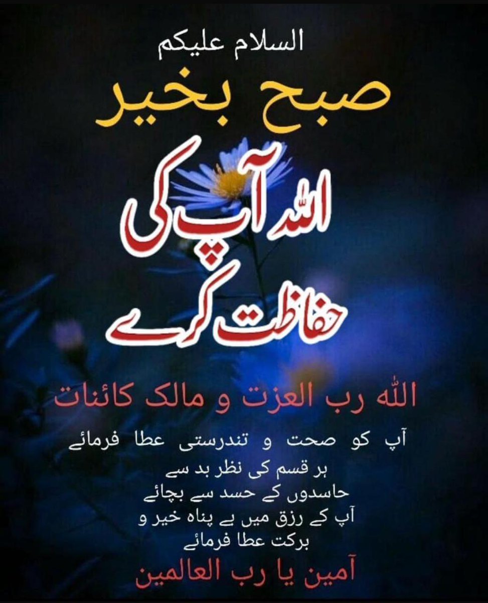 ﷽
السلام عليكم ورحمة الله وبرکاتہ
⁧#خاتم_النبیین_محمدﷺ⁩
⁧#درود_وسلام⁩
رب العالمین ھمارے حال پر رحم فرما دے اور ھمارے ساتھ رحم والے معاملات فرمائے بیشک تو رحم کرنے والا ھے اور ھم تجھ سے تیری رحمت کے طلبگار ہیں 
آ مین ثم آمین یا ربّ العالمین