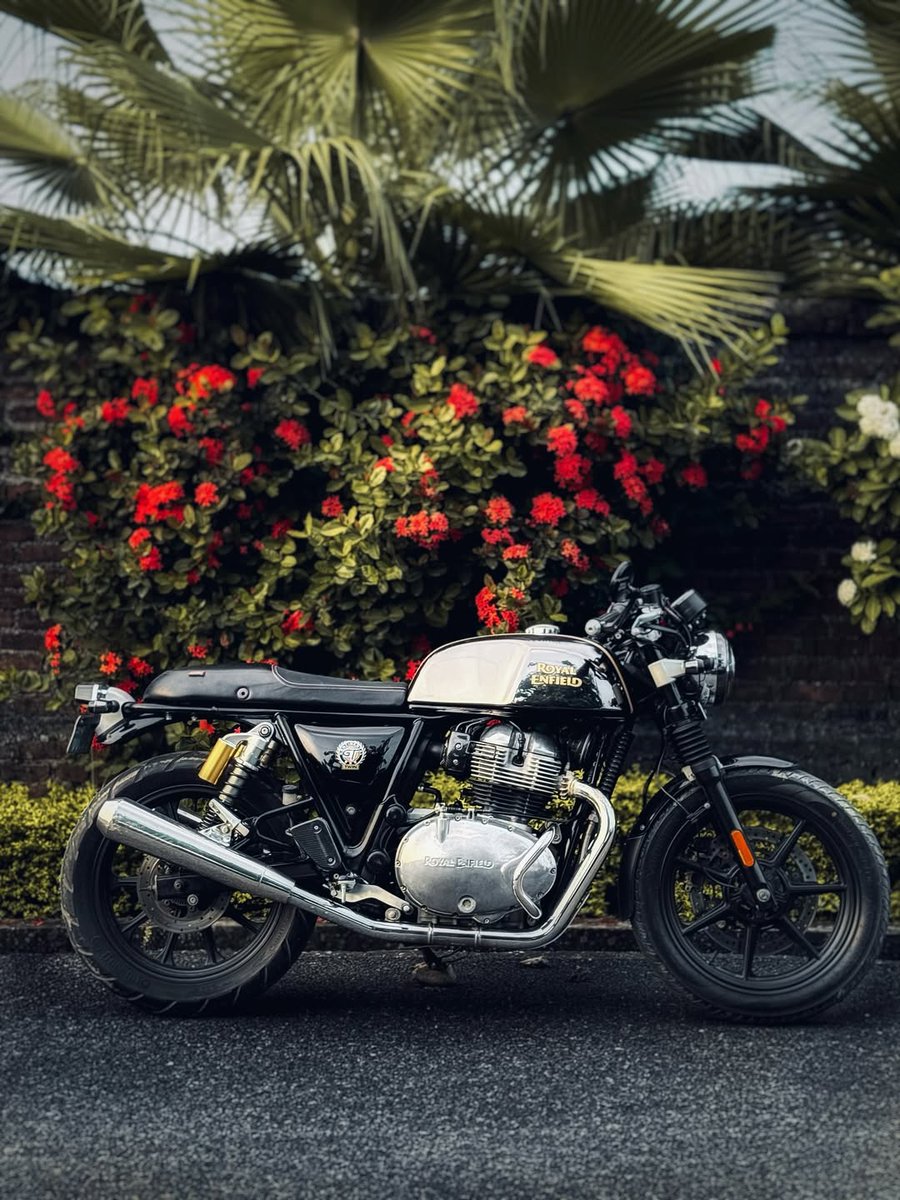 royalenfield47's tweet photo. Power. Style. Emotion. That’s the GT 650 way.⚡
.
.
.
.
.
#FestivalVibes #RoyalEnfieldVasundhra #gt650 #royalenfield #ghaziabad #bullet #bulletlovers #viralpost #explorepage #fypp #love https://t.co/RKew4QcQo5