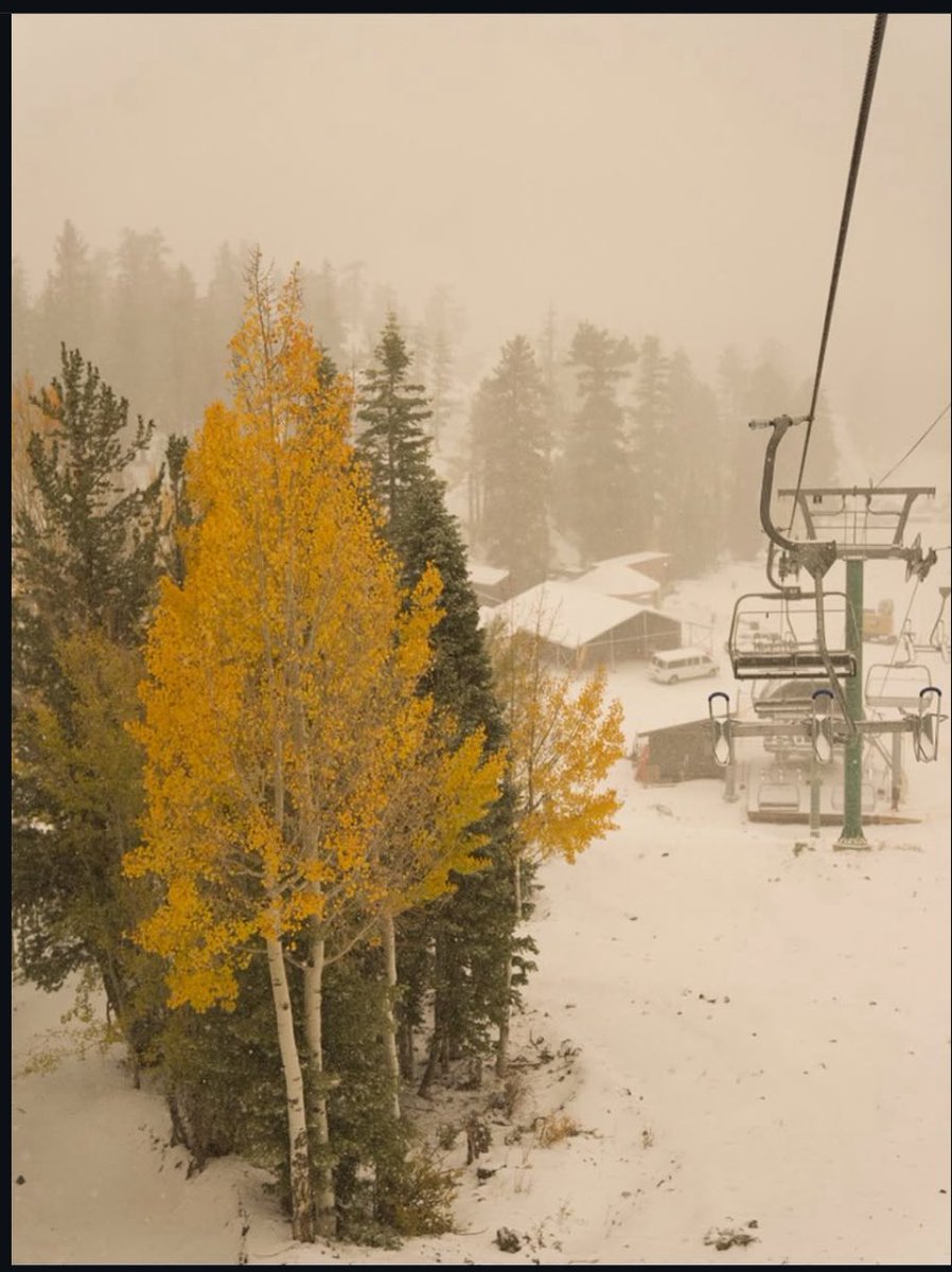 How often do we get snow with fall colors? Mt Charleston is one of the gems of Las Vegas… 

Make sure to visit 📸:<a href="/LeeCanyonLV/">Lee Canyon</a> this season…