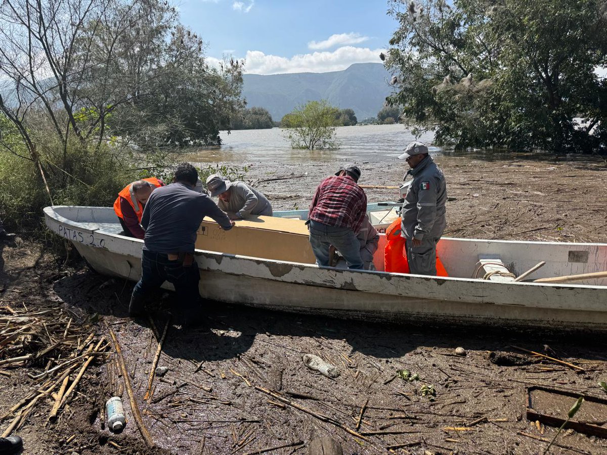 juliomenchaca_'s tweet image. En atención inmediata ante la emergencia, a través de la @CEAA_HGO, entregamos una planta purificadora de agua en la comunidad de Cerritos de Tlacotepec, en Metztitlán, para que las familias cuenten con este suministro.
#HidalgoUnido
#PrimeroElPueblo