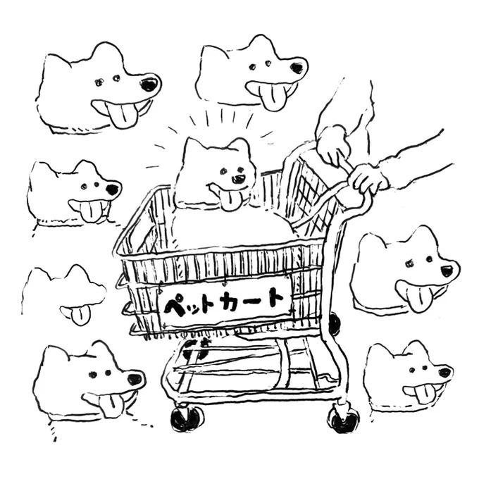 いぬ 