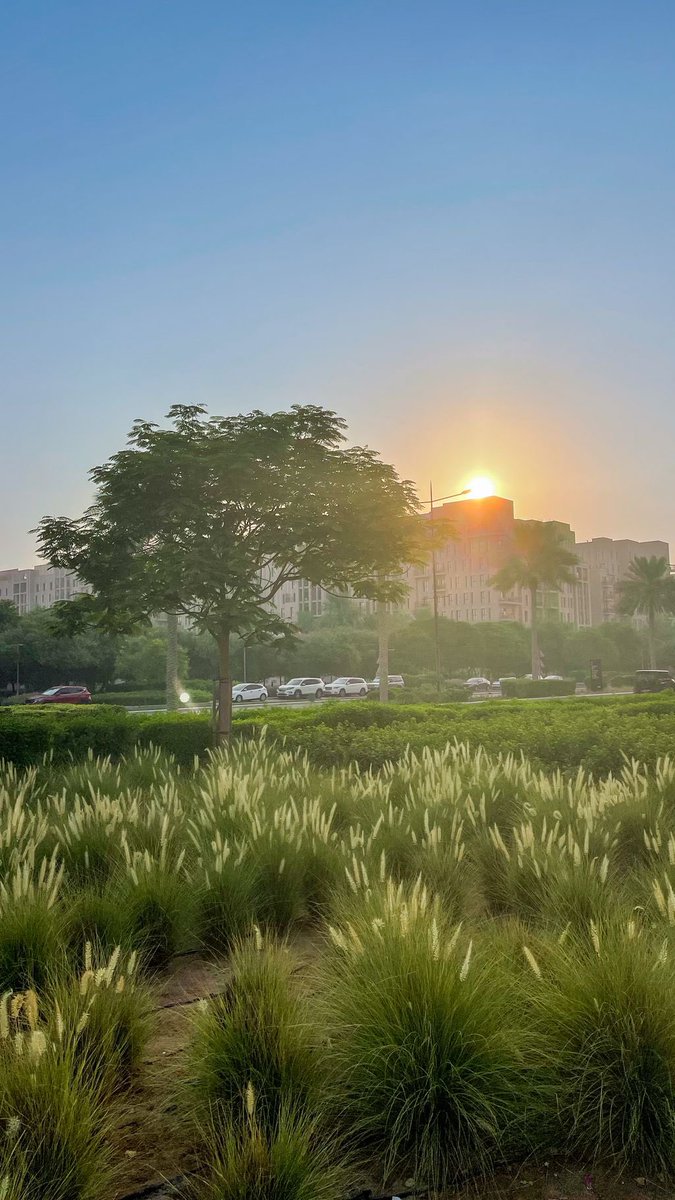 Guten Morgen!

Habt alle einen tollen Mittwoch. Ich bin vollgepackt mit Meetings. Später am Tag gehts noch ins Gym. #Mittwoch #gutenmorgen