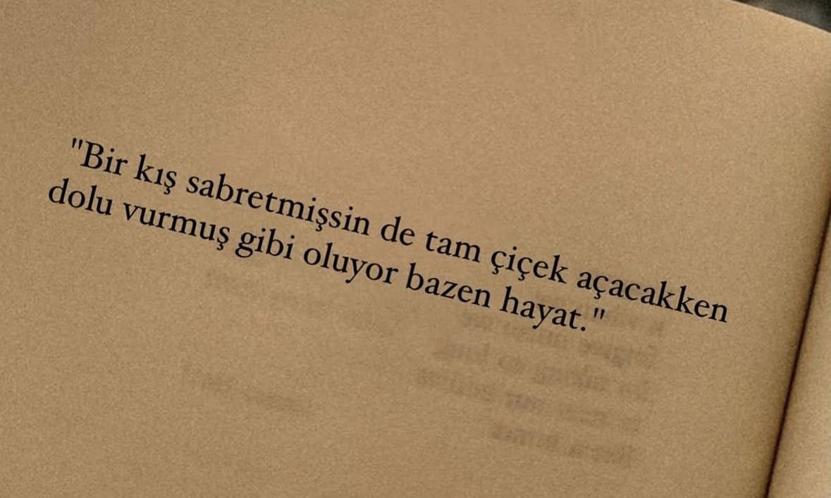 alkayseee___'s tweet photo. Günaydın https://t.co/tsdZZXSeBM