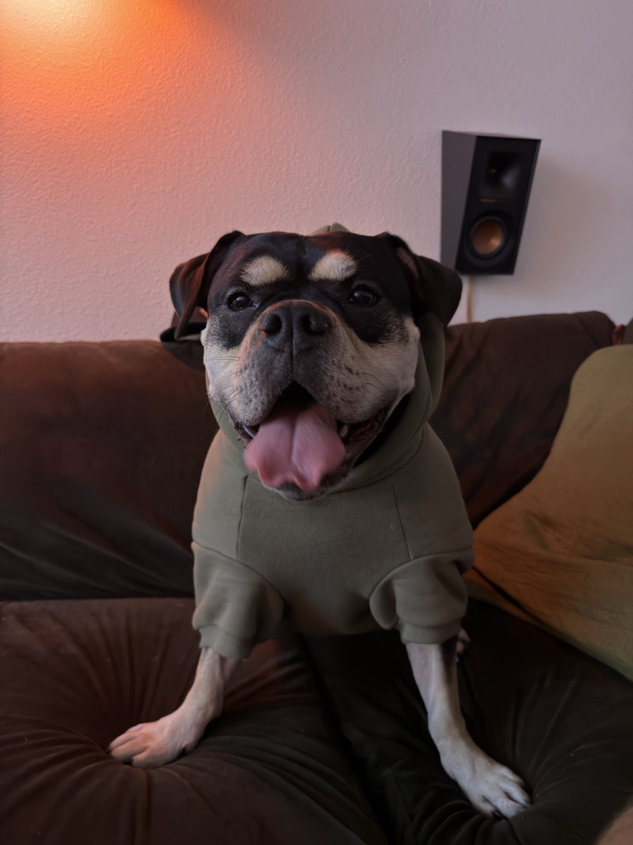 boostetti's tweet image. she doesn’t look real sometimes