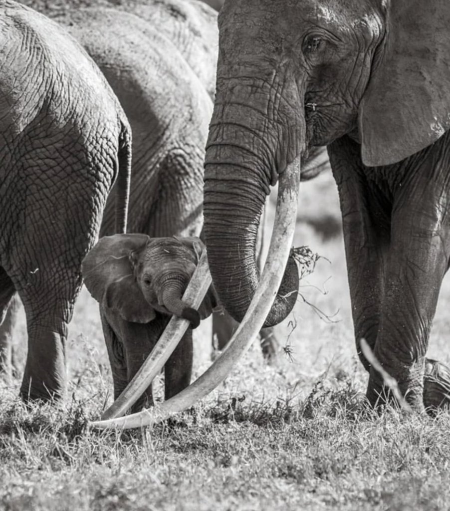 Links 10/15/2025 dlvr.it/TNhGqZ