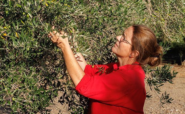 Avui Dia Internacional de les Dones Rurals recuperem el testimoni de la Teia, una apassionada del món rural, la seva gent i la natura.
opusdei.org/ca-es/article/…