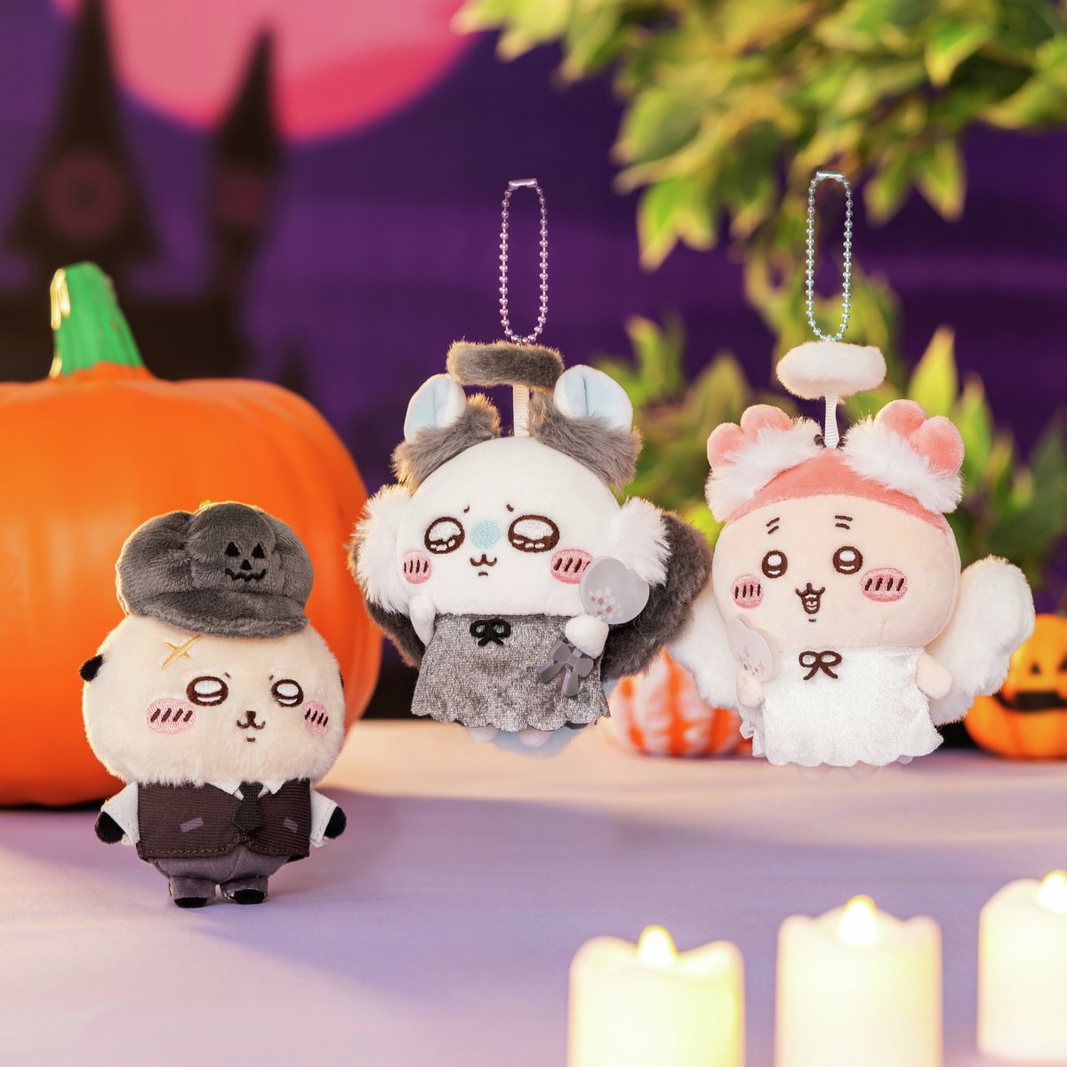 🚚発送が開始されました💨 ご予約いただいたお客様へ 『季節だもん