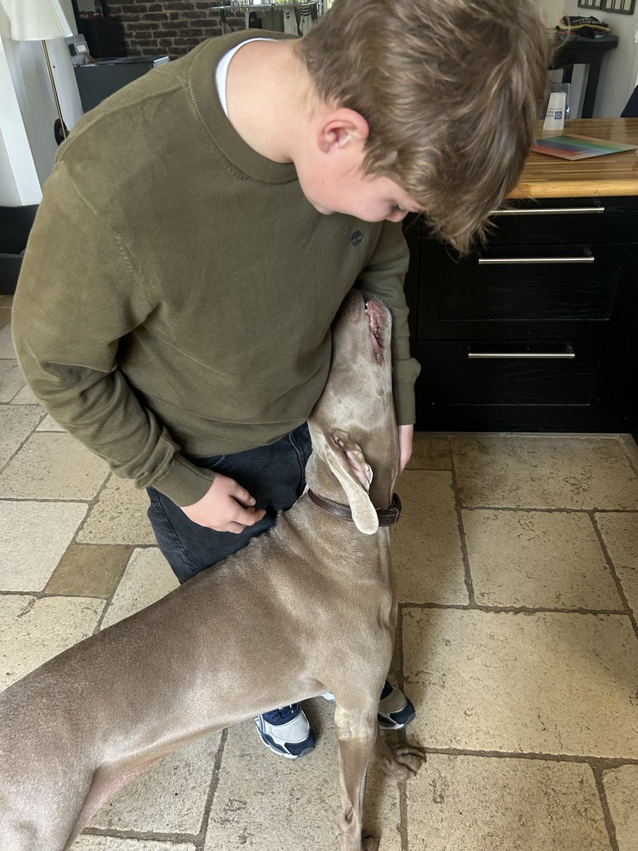 Le grand retour de classe pour parodier une jolie fanfare 📯<a href="/chasseacourre/">Société de Vènerie</a> avec un chien d’arrêt qui adore Orléans comme Fontainebleau 🐎 

Sacré <a href="/chiendechasse_/">Chien De Chasse</a> malheureux 

<a href="/valmara69M/">Olivier / V-69</a> <a href="/Christo31450117/">Christophe Barret</a> 
<a href="/SylvainBertois/">Sylvain Veneur 📯</a> <a href="/supermi35825584/">Ginut502</a> 

Mercredi #Agropapa