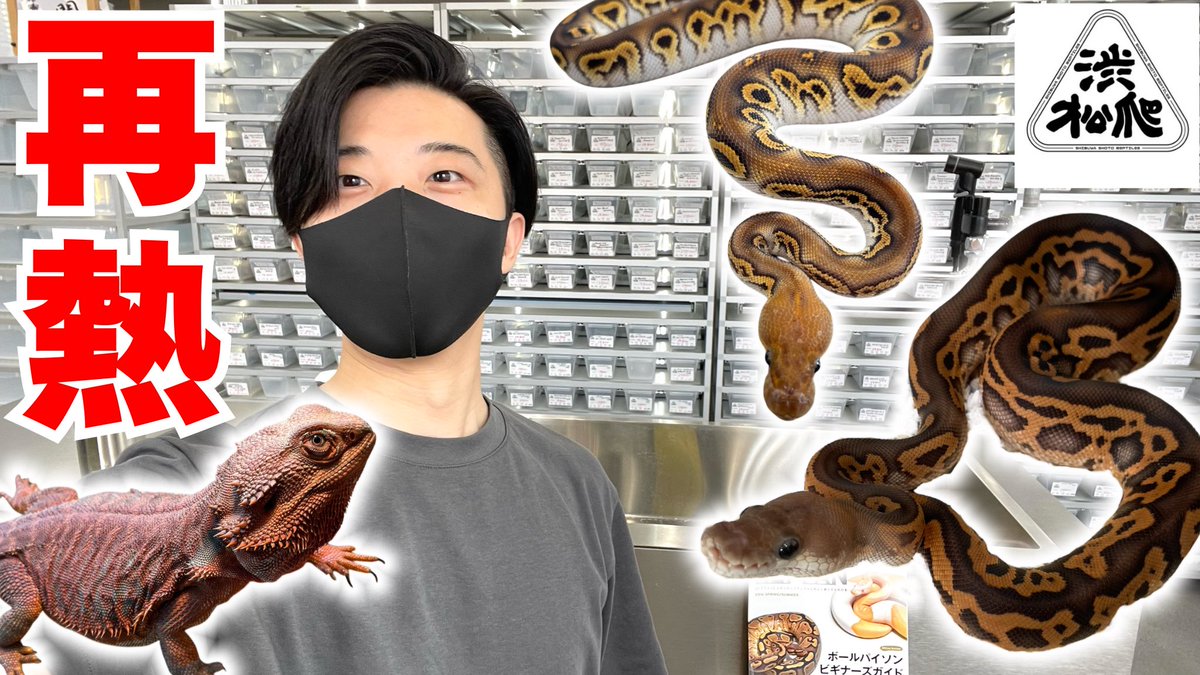 ししろく (@sisiroku446) / Posts / X