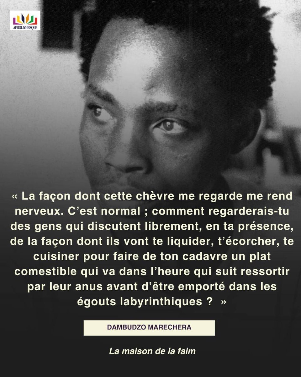 Afrolivresque tweet media
