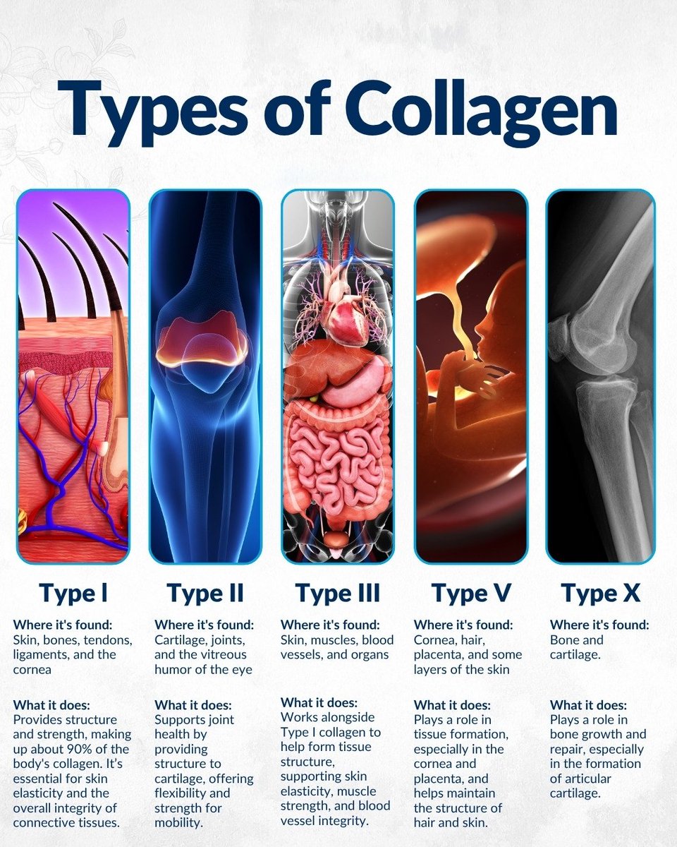 Collagen is the glue that holds your body together. As the most abundant protein in your body, it plays a vital role in maintaining the health and structure of your skin, joints, bones, and connective tissues.

But not all collagen is created equal. Different types have unique