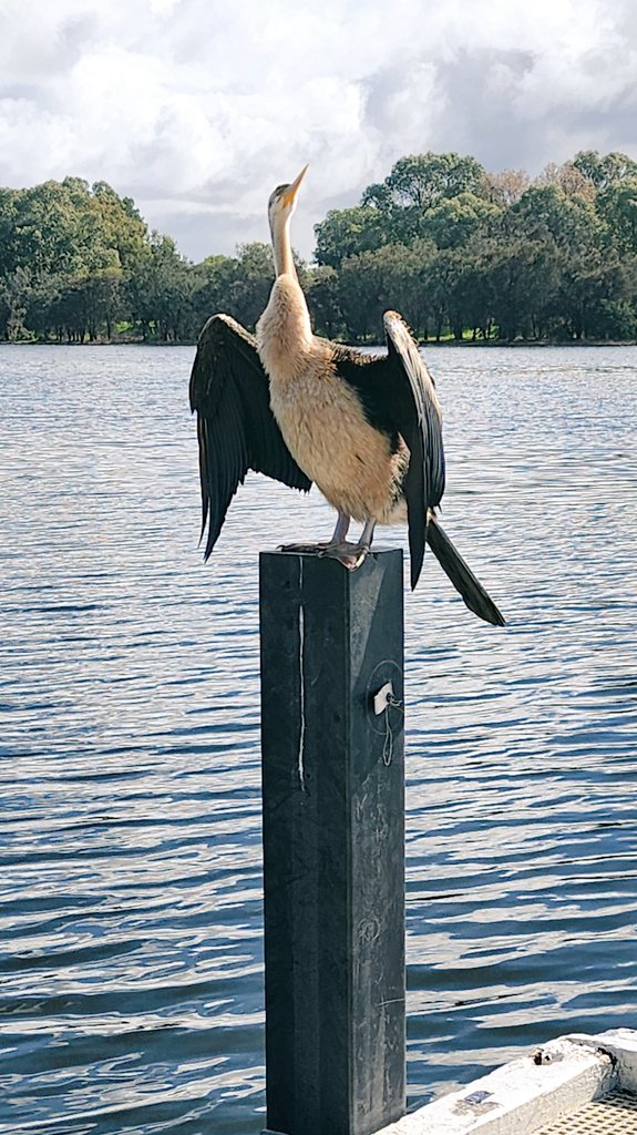 Хиртэй бодол, хиртэй хувцас, хөлстэй бие хүнийг их ядраадаг юм байна.

Усанд ороод, ухаан суулаа😜.