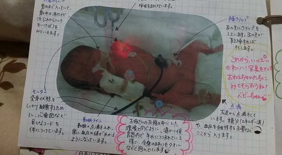 地元の祭りも終わり うぅ～助も無事に 18歳の誕生日を迎えました