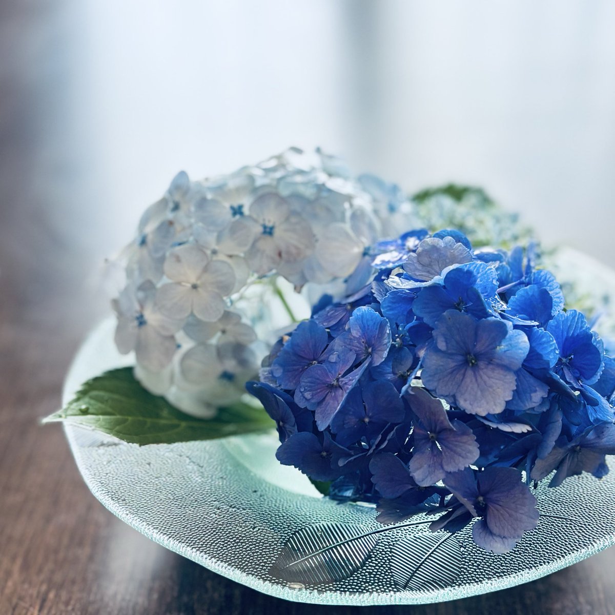 昭和ガラス - Search / X