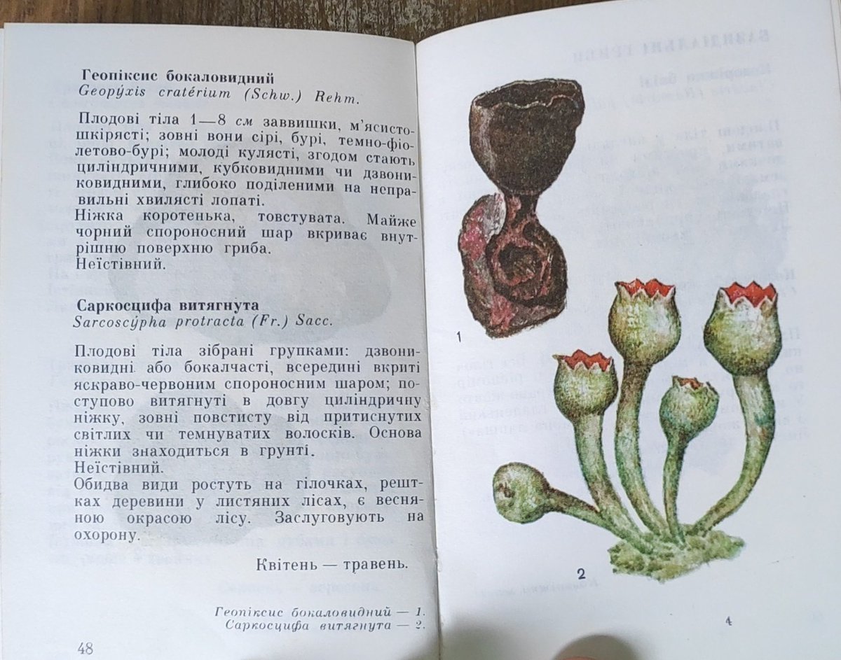 <a href="/aa_Tk/">андромеда з лівого берега🇺🇦</a>