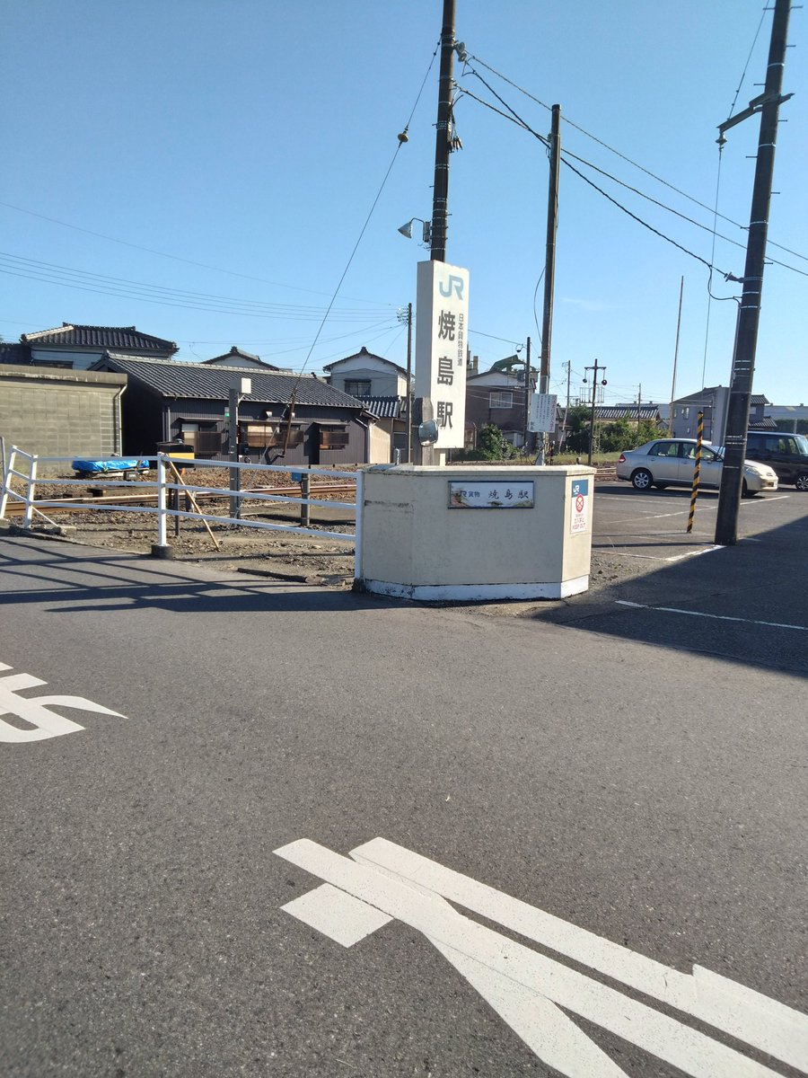 せっかくシェアサイクル使ってるから、おお信濃川の下くぐれる！その後道に迷いました
