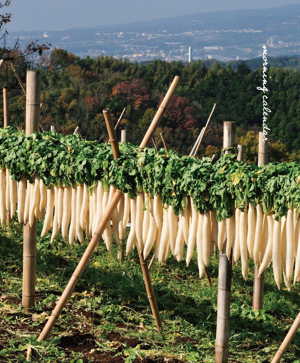 543life's tweet image. 冬支度(ふゆじたく)|朝の日めくり
"冬支度とは、衣食住のあれこれを冬仕様に準備することです。暖房具を点検し、冬ものの寝具や衣類を揃えます。"
▼朝の日めくり【2026】発売中
543life.com/i/1000000006001