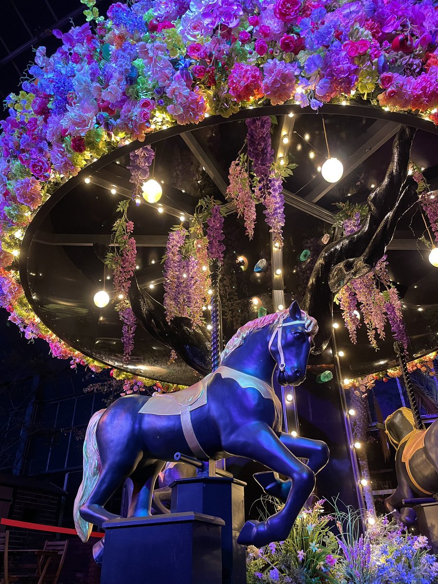 ハロウィンナイト開催／ 🎃10/18（土)・10/25（土)🎃 期間限定で開園