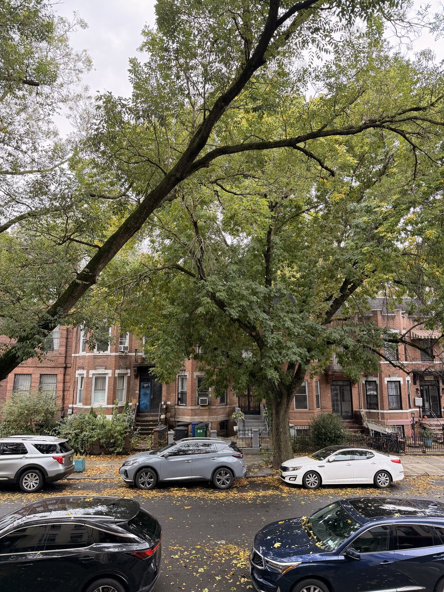 Been off X for a while now, some updates:
- Moved to New York to attend <a href="/AntlerGlobal/">Antler</a> NYC cohort with <a href="/AseemShrey/">Aseem Shrey</a> <a href="/_nancychauhan/">Nancy Chauhan</a> 
- Turned 28 
- Talked to a bunch of customers and iterated to the best version of our product yet, launch imminent.
- still Day 0.