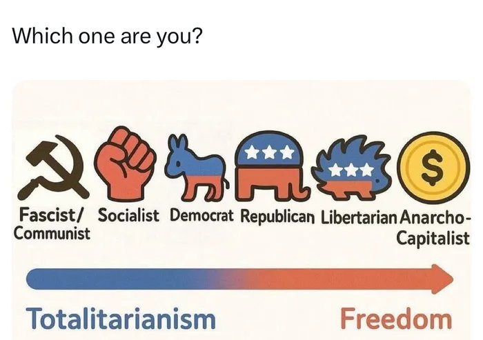 Joseph Stott tweet media